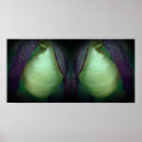 Buscar orquídeas blancas posters Para ella