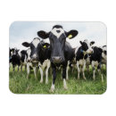 Buscar agricultura imanes Horizontal