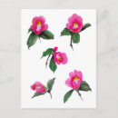 Buscar sumi e postales Floral