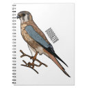 Buscar americanos libretas Para niños