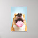 Buscar perro divertido lienzos Corgi