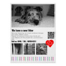 Buscar perro perdido posters General y unisex