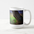 Buscar asustado tazas Gatito