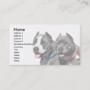 Buscar matones tarjetas de visita Animal