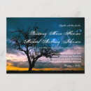 Buscar igualación invitaciones Árbol