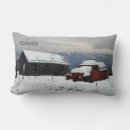 Buscar camiones viejos cojines Camioneta