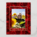 Buscar rosas rojas postales Para ella