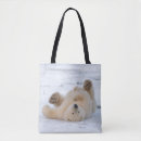 Buscar amenazado accesorios Oso blanco