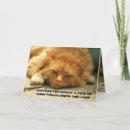 Buscar lol animales tarjetas 9 º gata