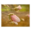 Buscar flores rosadas posters Femenino