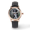 Buscar collie accesorios Red de área fronteriza