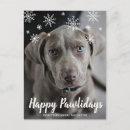 Buscar pavimente postales Perros