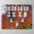 Buscar cuatro árboles posters Otoño