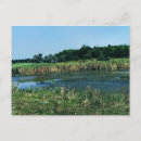 Buscar ecología postales Medio ambiente