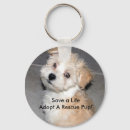 Buscar adopte llaveros Perrito