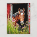 Buscar puerta de granero postales Para todos