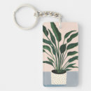 Buscar houseplants Plantas