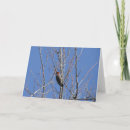 Buscar pañuelo tarjetas Naturaleza