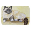 Buscar catlover Amante del gato