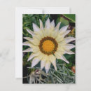 Buscar amarillo y blanco postales Para ella
