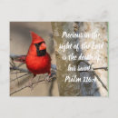 Buscar 116 postales Para todos