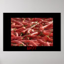 Buscar especias posters Alimentos