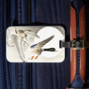 Buscar patas etiquetas para maletas General y unisex