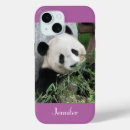 Buscar panda iphone fundas Oso