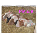 Buscar cochinillo Animales