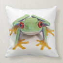 Buscar rana cojines Reptil