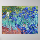 Buscar flores de van gogh posters Iris
