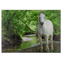 Buscar caballo cuarto Blanco