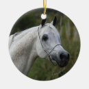 Buscar caballo árabe adornos Foto