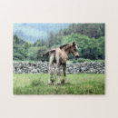 Buscar pinturas del caballo puzzles 6 º caballito