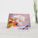 Buscar flores de cerezo blancas tarjetas Para todos