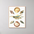 Buscar playas lienzos Naturaleza