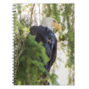 Buscar abeto cuadernos Bosque