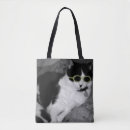 Buscar gatos gafas de sol Humor