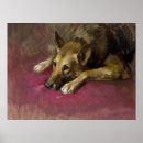 Buscar owner posters Pets