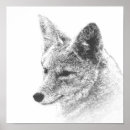 Buscar lobo blanco negro posters Naturaleza