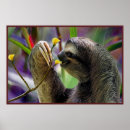 Buscar perezas posters General y unisex