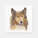 Buscar perros del lassie Collie de pelo largo