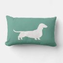 Buscar haitiano casa hogar Dachshund