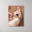 Buscar ginger lienzos Gatito