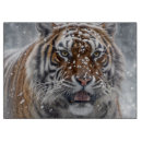 Buscar siberiano tablas cortar Tigre