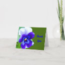 Buscar panal fotografía Naturaleza