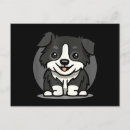 Buscar border collie postales Animal