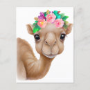 Buscar camello lindo postales Camellos