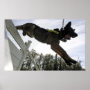 Buscar perro policía posters Perros policías