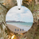 Buscar playa de hawaii adornos Arena